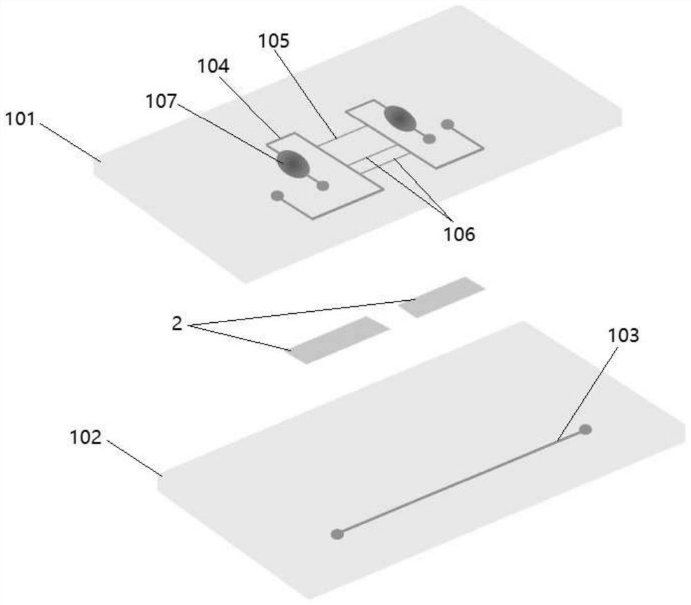 Micro-fluidic chip of multi-fetal placenta vascular anastomosis model, system and use method