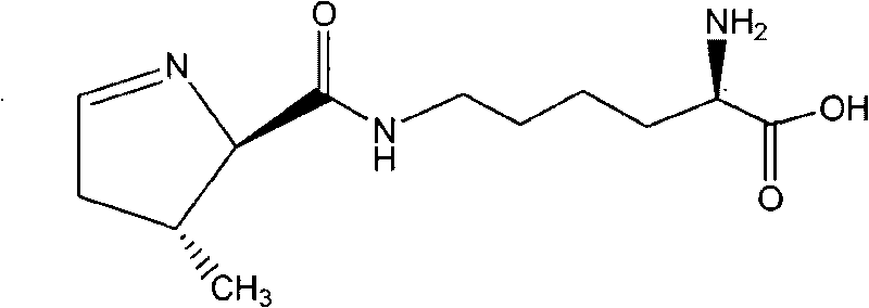 Chemical complete synthesis method for 22nd natural amino acid-pyrrolysine