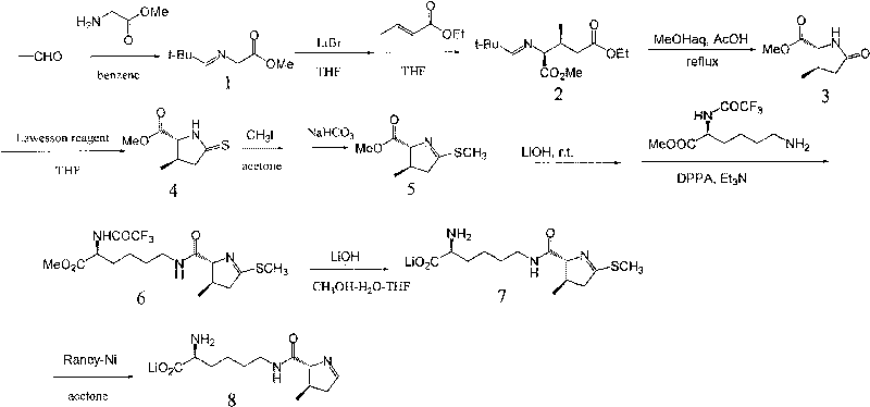 Chemical complete synthesis method for 22nd natural amino acid-pyrrolysine