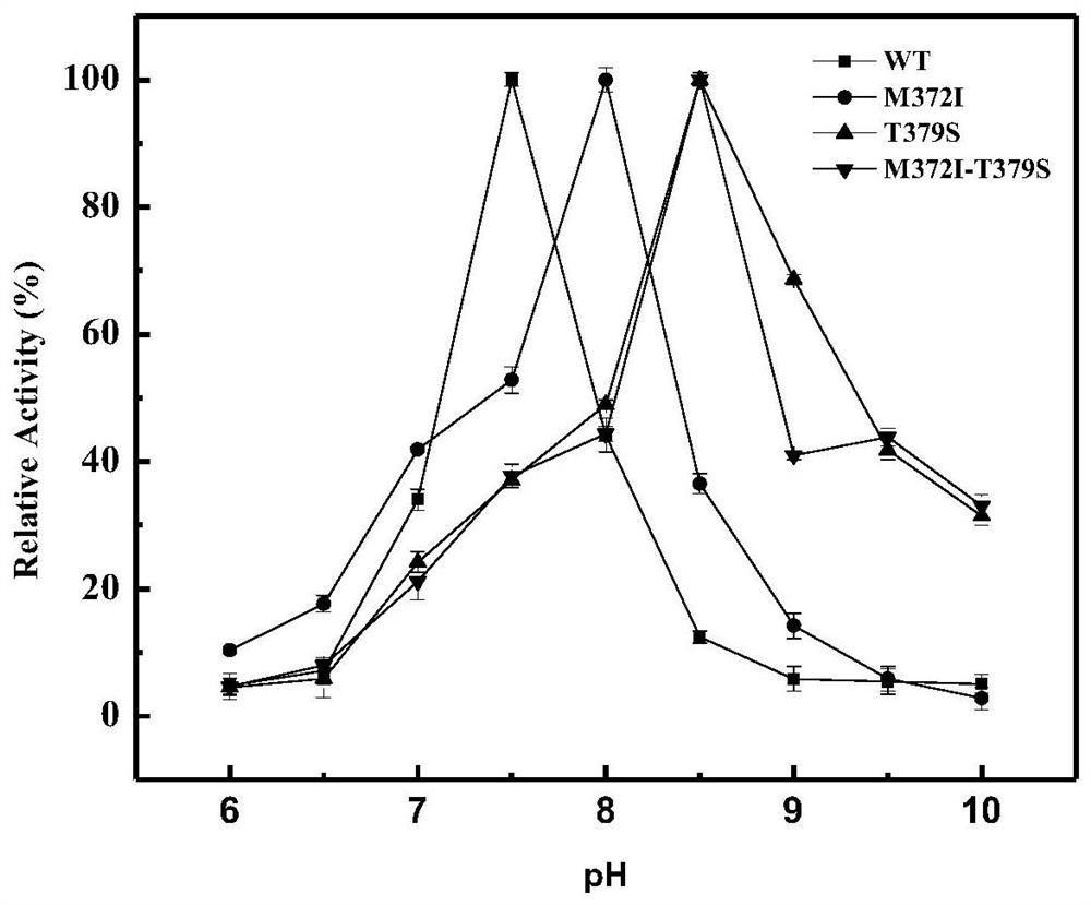 High enzyme activity aspartokinase mutant, engineering bacteria and preparation method of the mutant