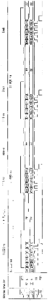 Stepped-frequency signal generation method based on combination of DDS (Direct Digital Synthesis) and ping-pong type phase-locked loop