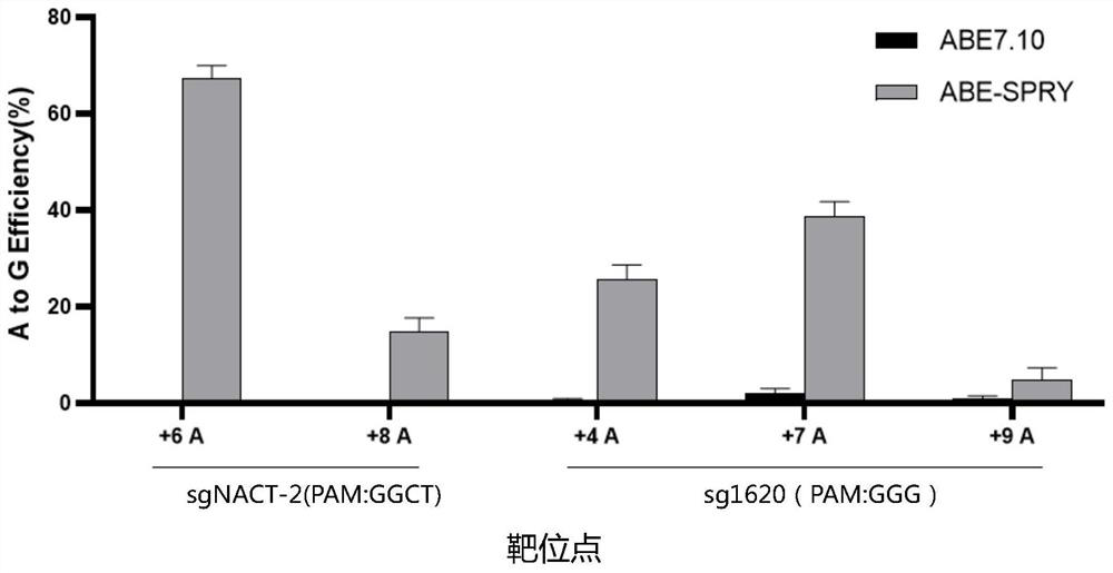 Adenine single-base editing product without PAM limitation, method and application