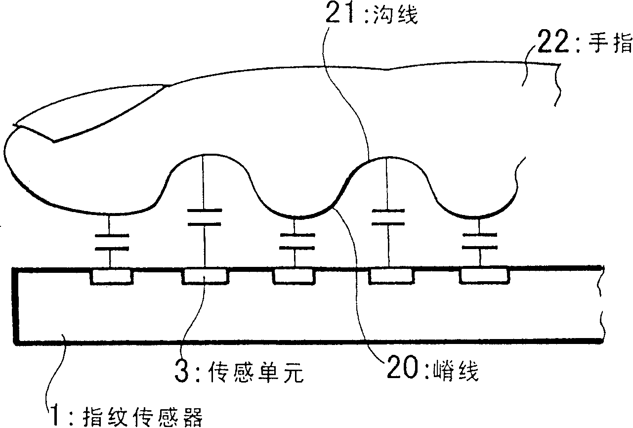 Fingerprint identification system and method thereof