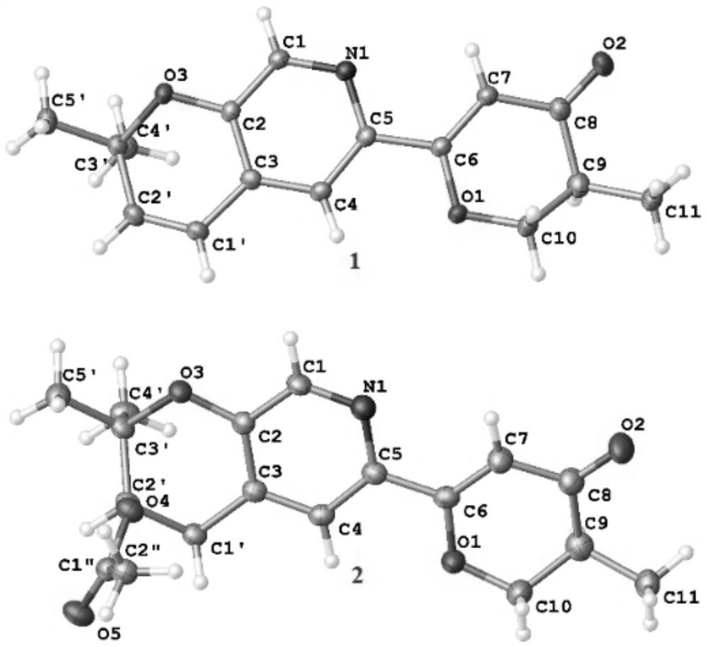 A pyridine-containing heteroterpenoid compound and its preparation method and application