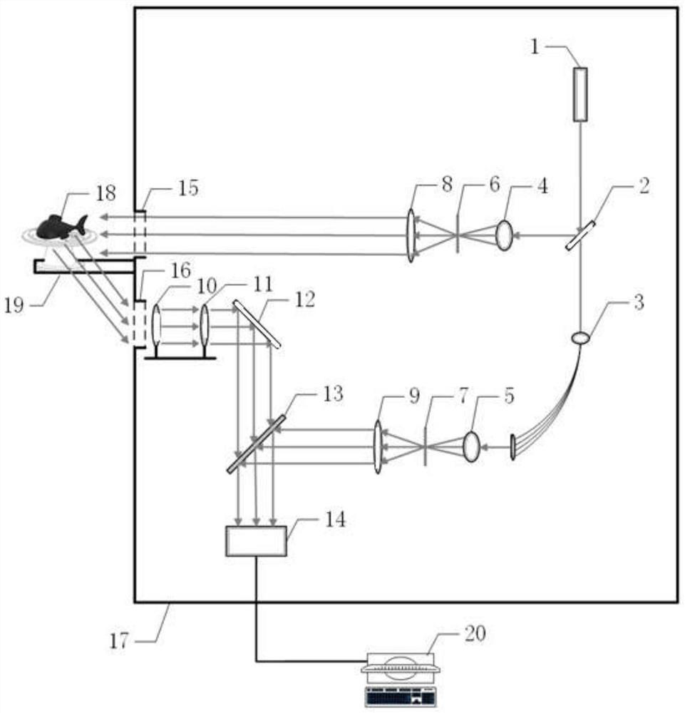 Infrared digital holographic phase extraction-based cultural relic three-dimensional shape reconstruction device and method