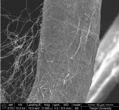 Micro-nanofiber tissue engineering scaffold and preparation method thereof