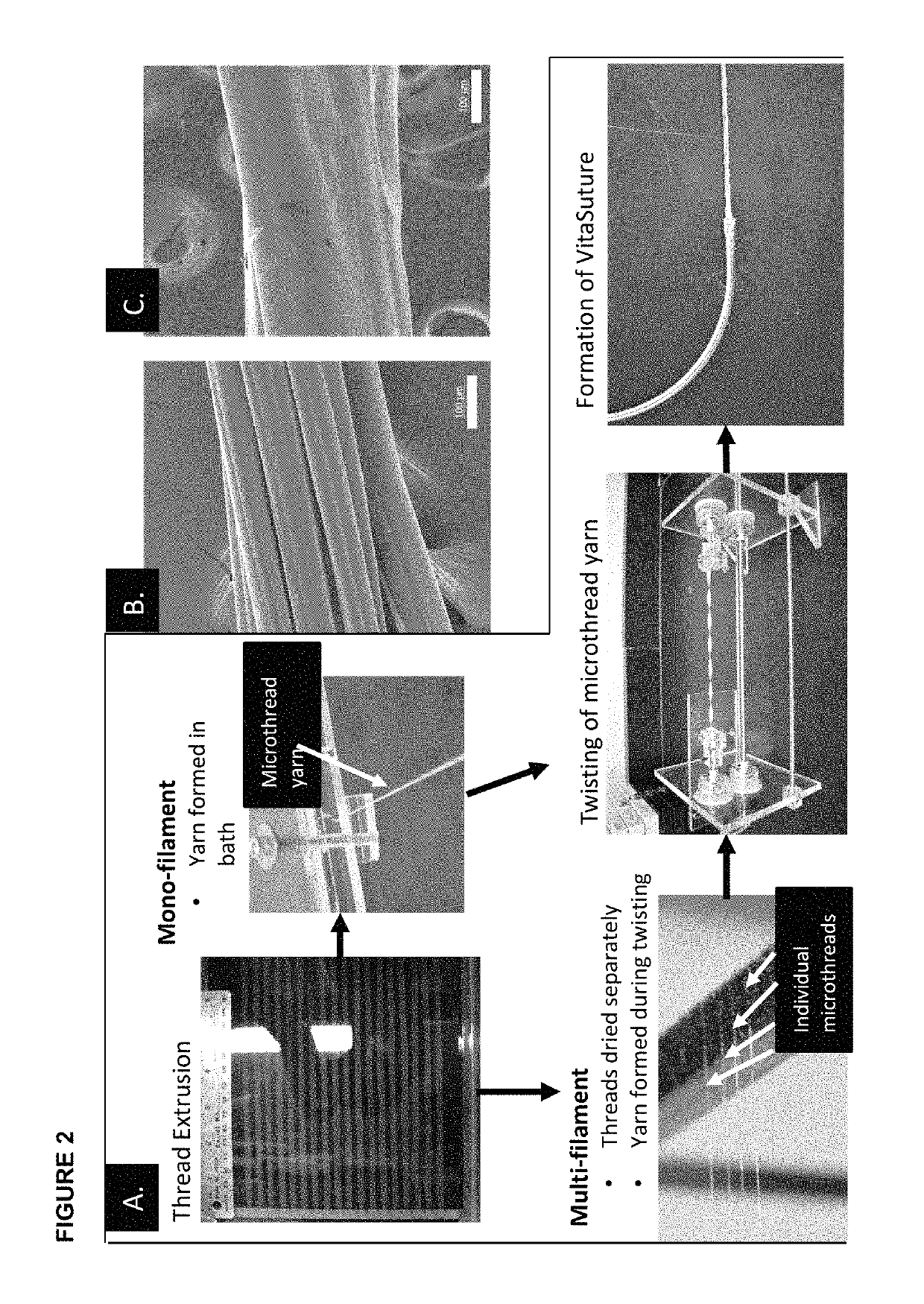 Compositions and methods for wound healing