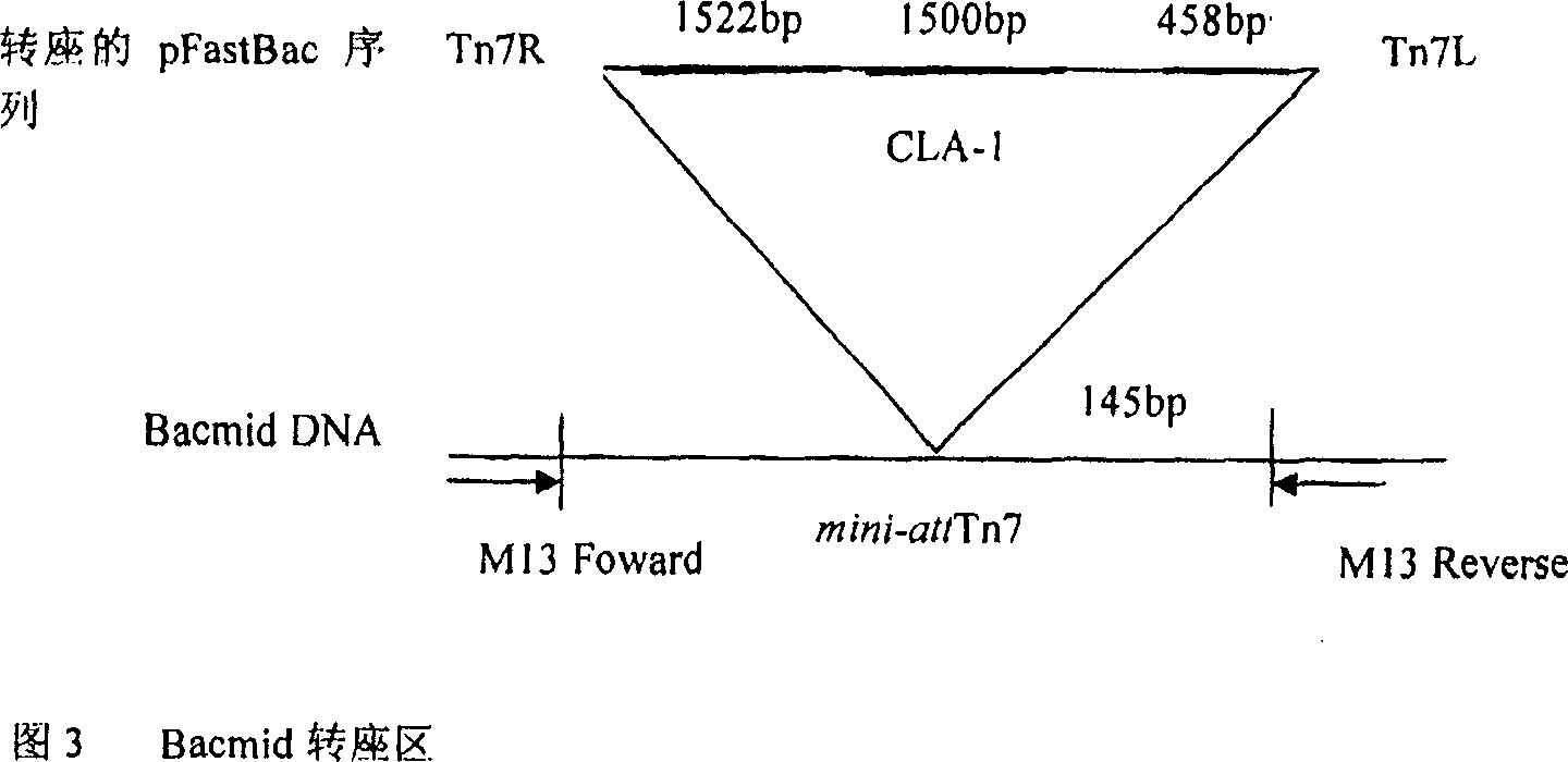 Model for filtering active regulator of human lipoprotein receptor in high density