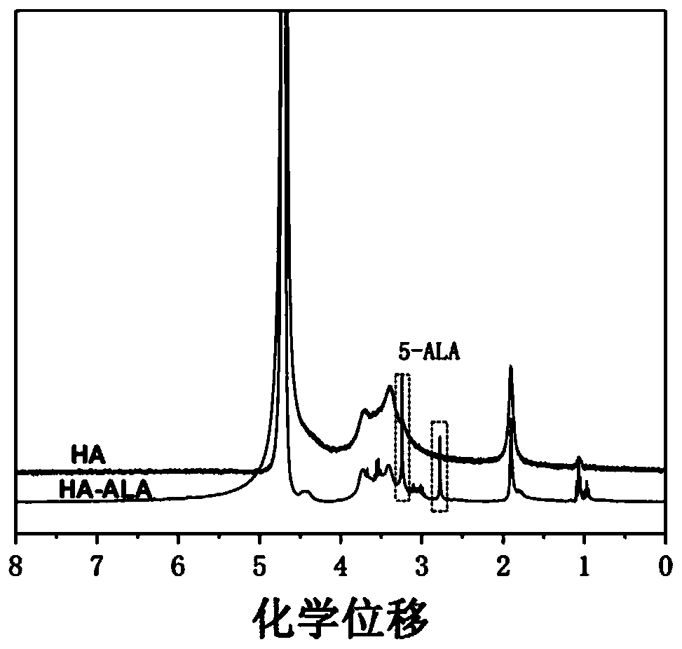 A kind of hyaluronic acid prodrug and its preparation method and application in transdermal administration