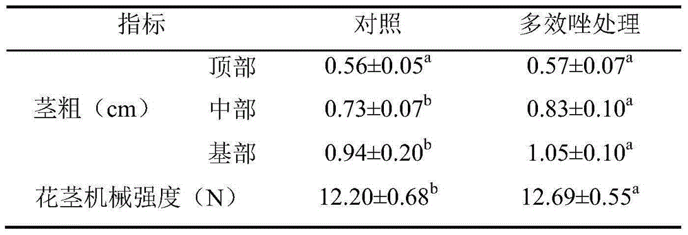 Method preventing development of Chinese herbaceous peony side branches