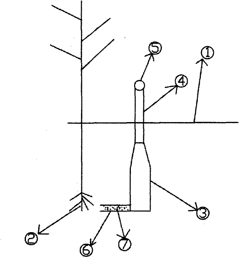 Water-saving device for desert tree planting