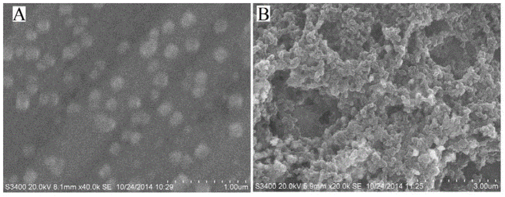 Preparation method of estradiol magnetic molecularly imprinted nanoparticle electrochemical sensing membrane
