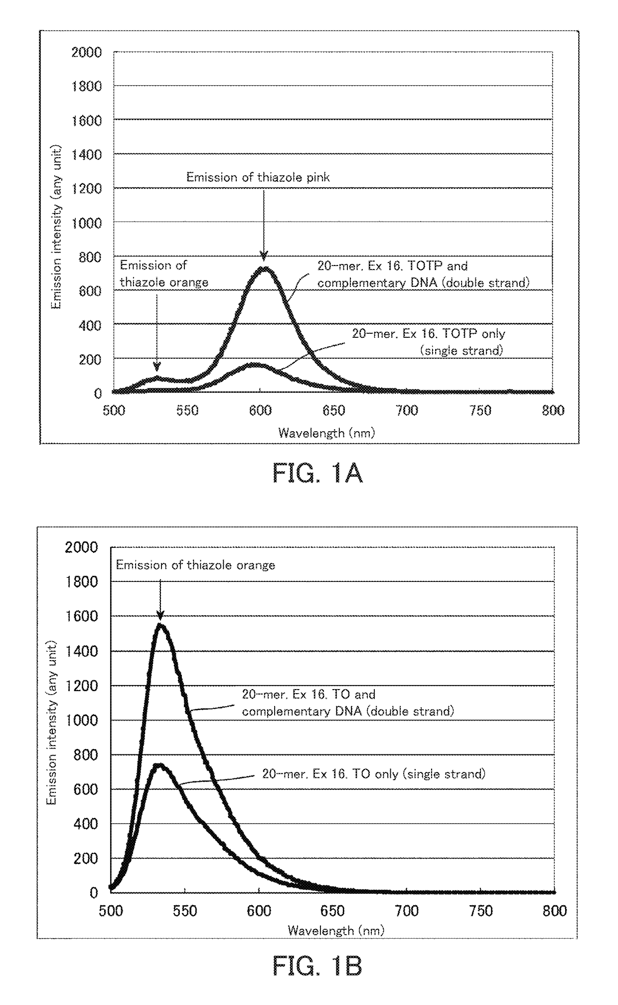 Fluorescent labeled single-stranded nucleic acid and use thereof