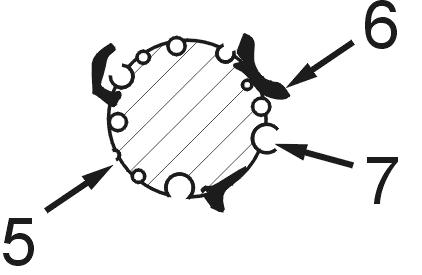 Dyeing method for water-soluble polyvinyl alcohol nonwovens