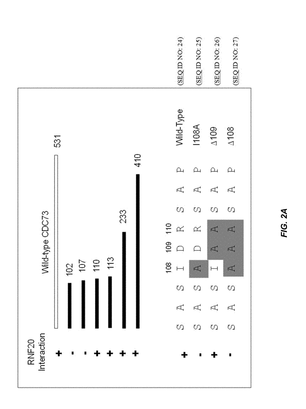 Histone protein ubiquitination as a cancer biomarker