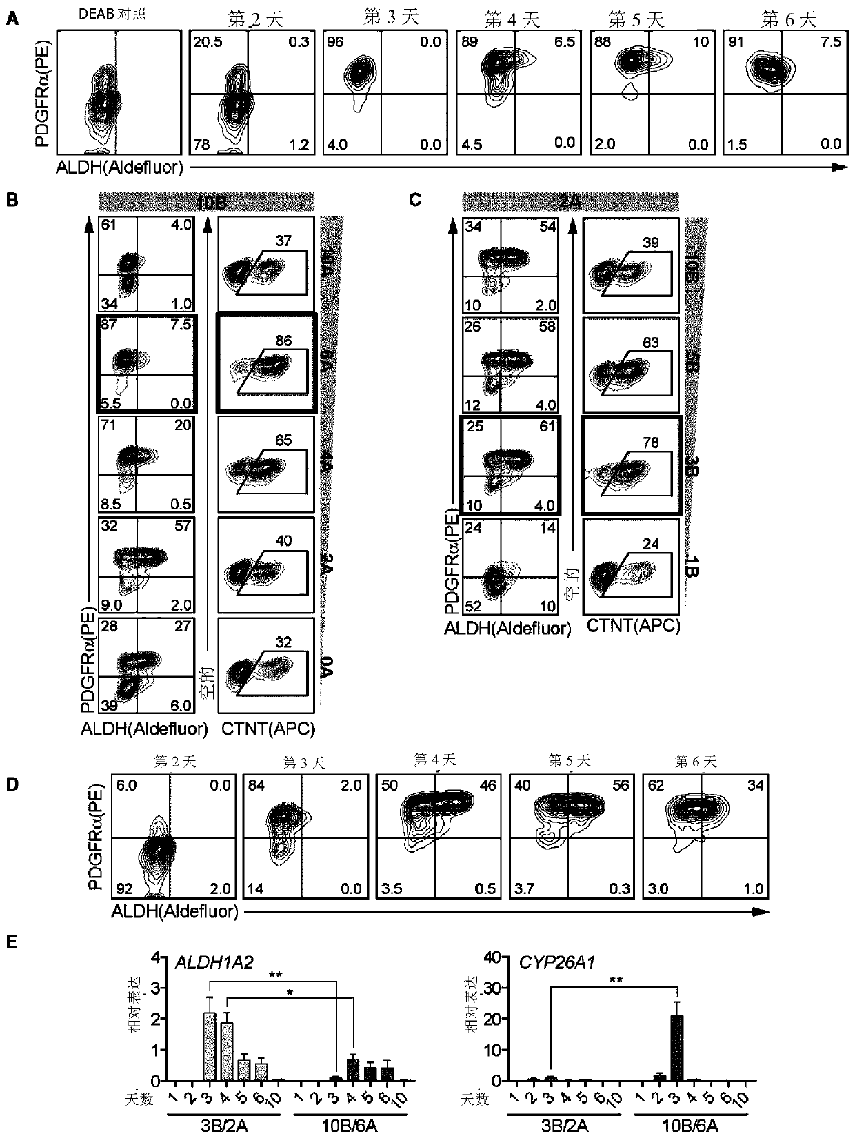 Generating atrial and ventricular cardiomyocyte lineages from human pluripotent stem cells