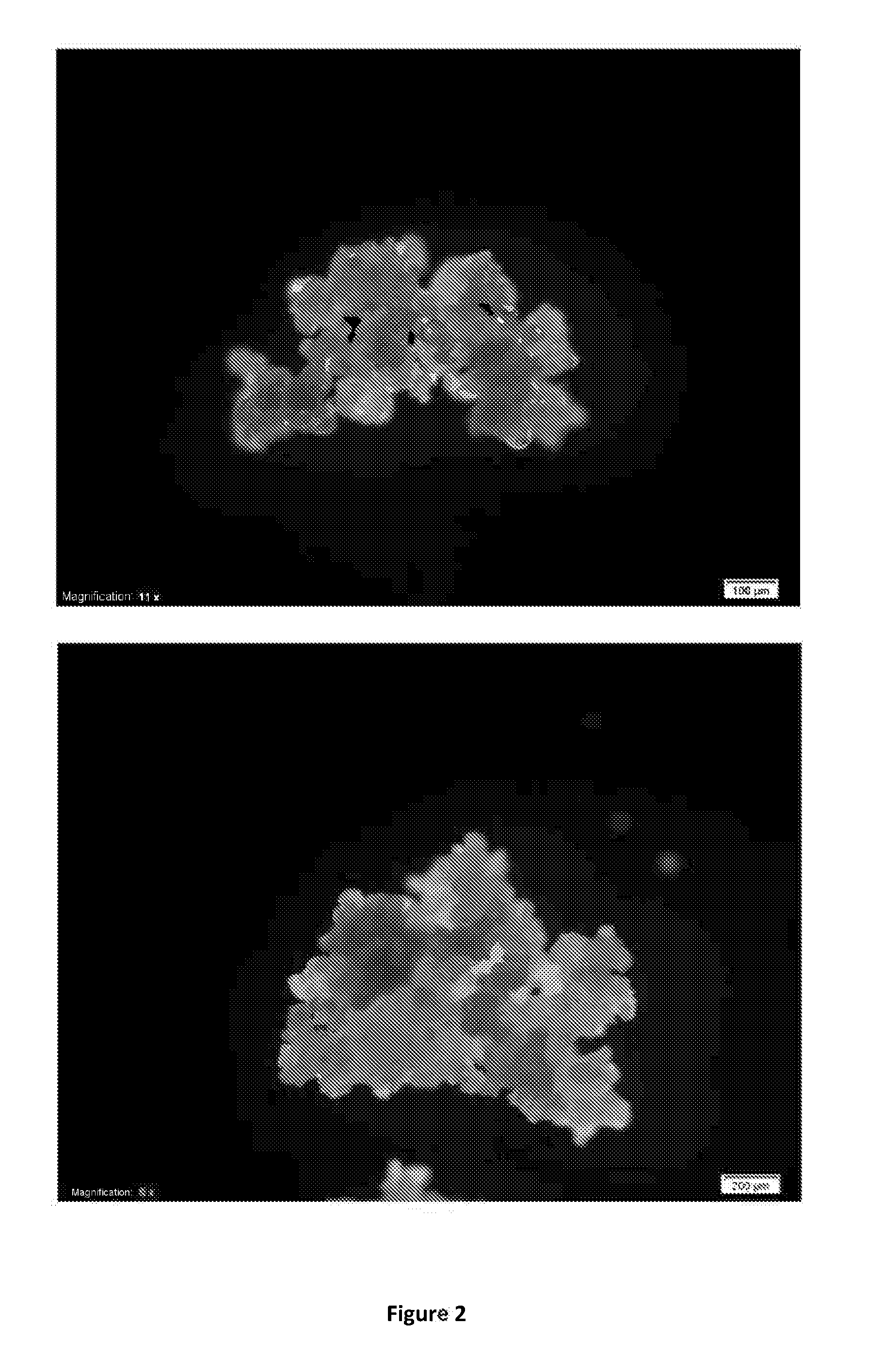 Large agglomerate particles