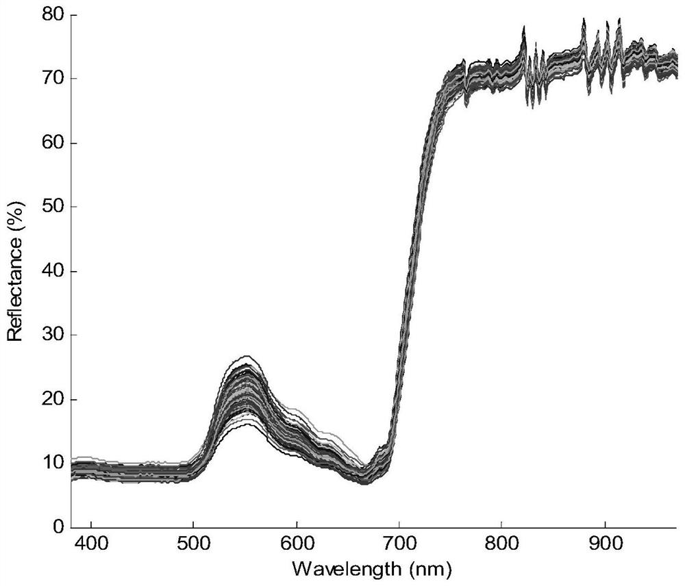 A plant seedling nutrient profit and loss state identification method and spectral detection system