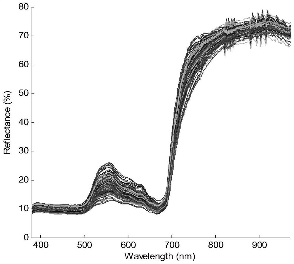 A plant seedling nutrient profit and loss state identification method and spectral detection system