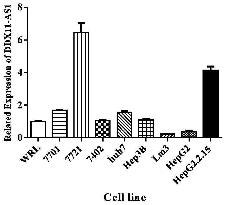 ASO for targeting long-chain non-coding RNA DDX11-AS1 and kit and application thereof in treatment of liver cancer