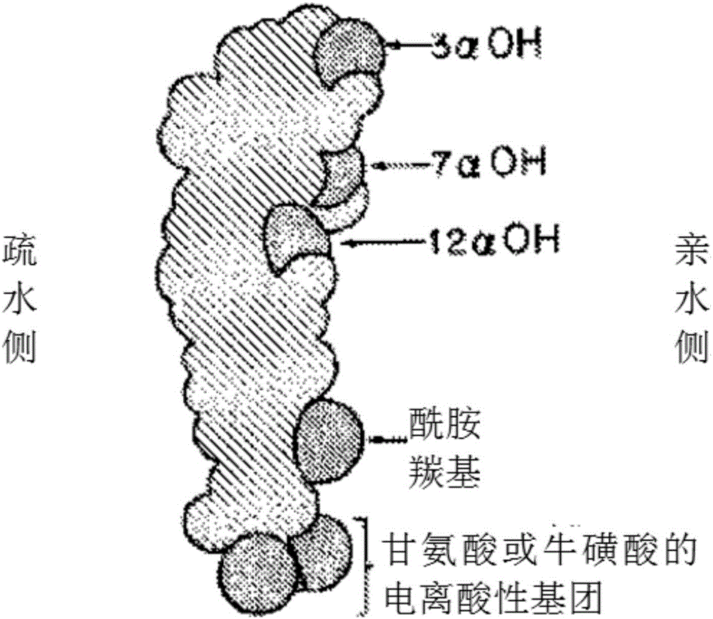 Synthetic bile acid composition, method, and preparation