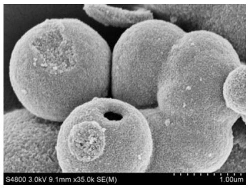 A kind of preparation method of hollow spherical titanium dioxide modified polyacrylate emulsion