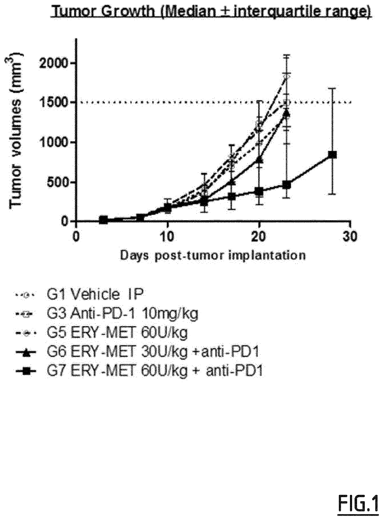 Synergistic combinations of methionine depletion agents and immune checkpoint modulators