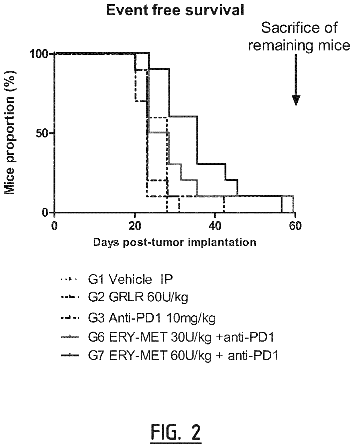 Synergistic combinations of methionine depletion agents and immune checkpoint modulators