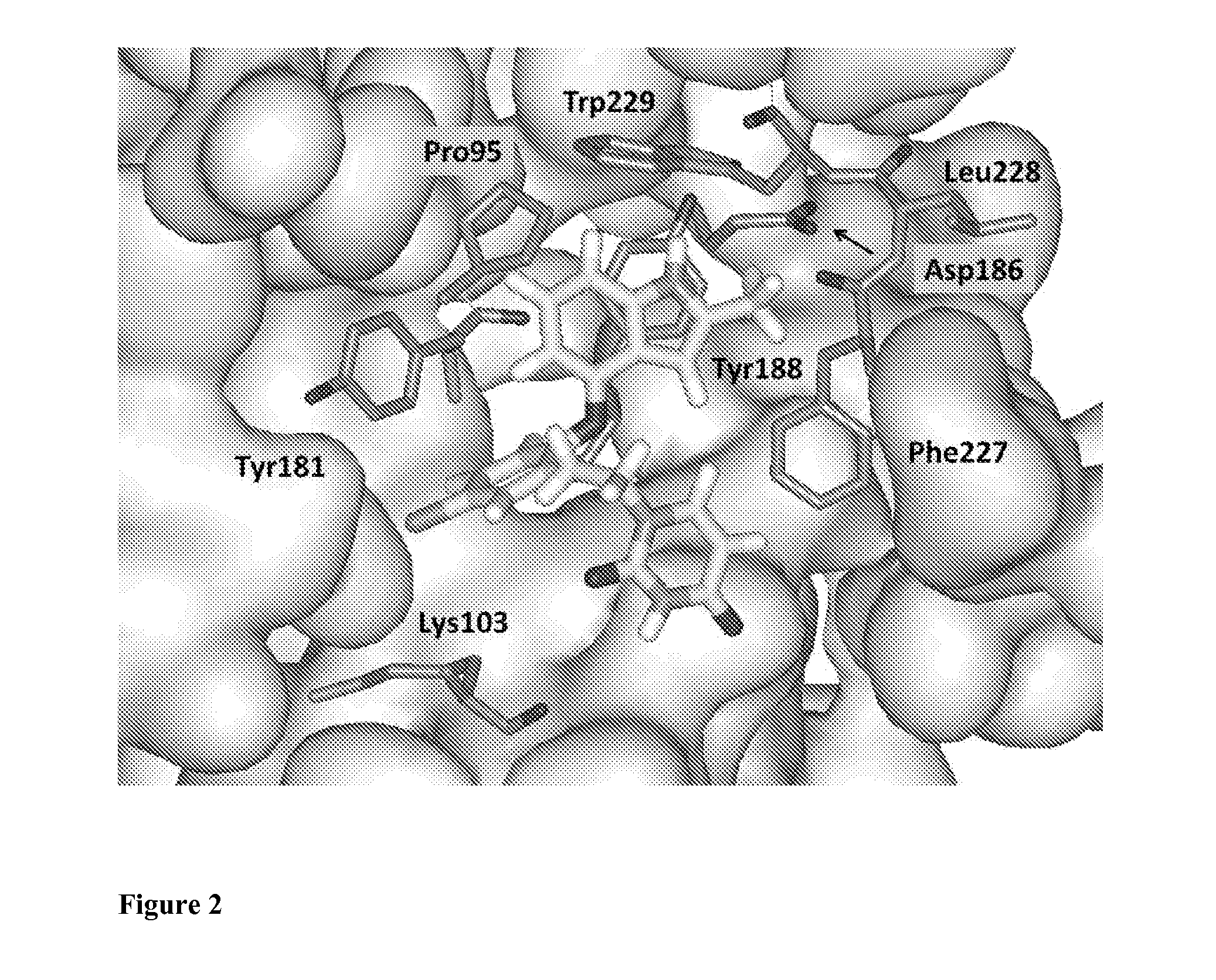 Compounds and methods for treating HIV infections