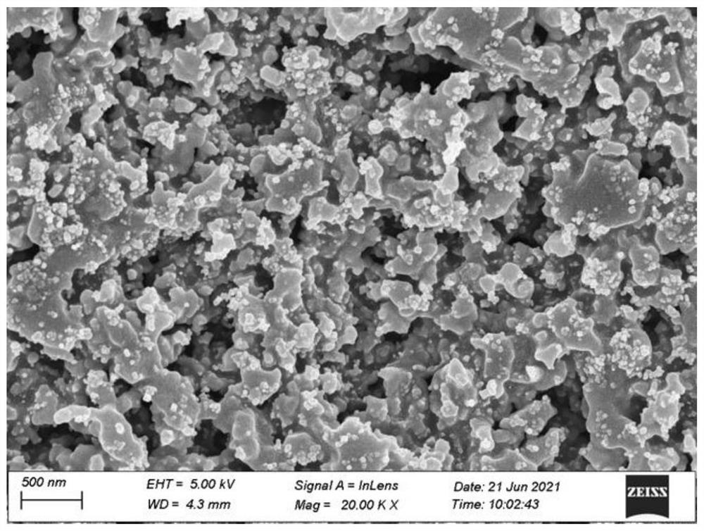 Biochar-titanium nitride super-hydrophobic photo-thermal coating material and preparation method thereof