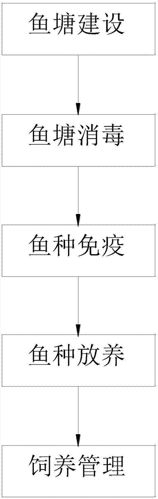 Ecological breeding method for four major Chinese carps