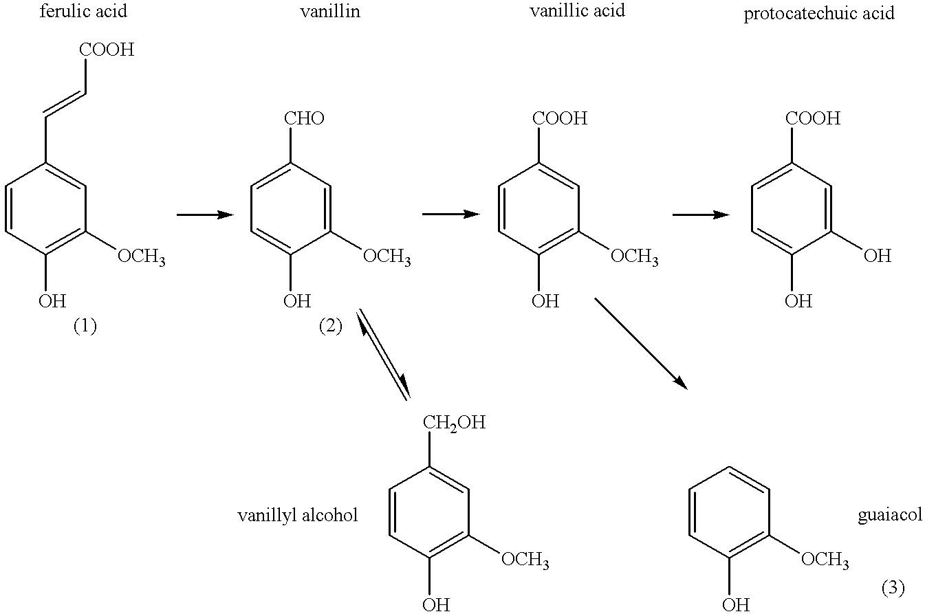 Microbiological process for producing vanillin