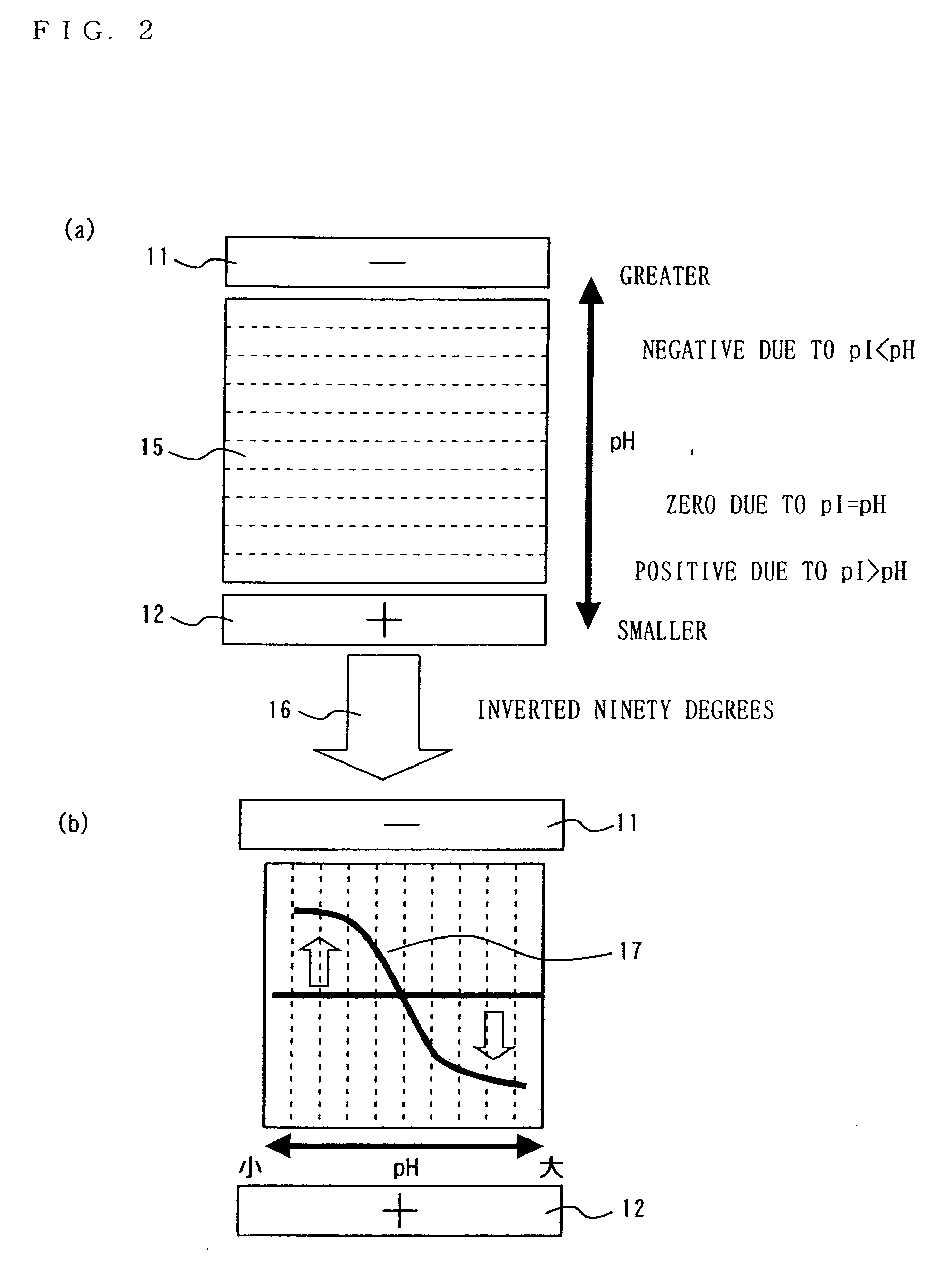 Method of immunoreaction measurement and, for use therein, reagent, kit and optical cell