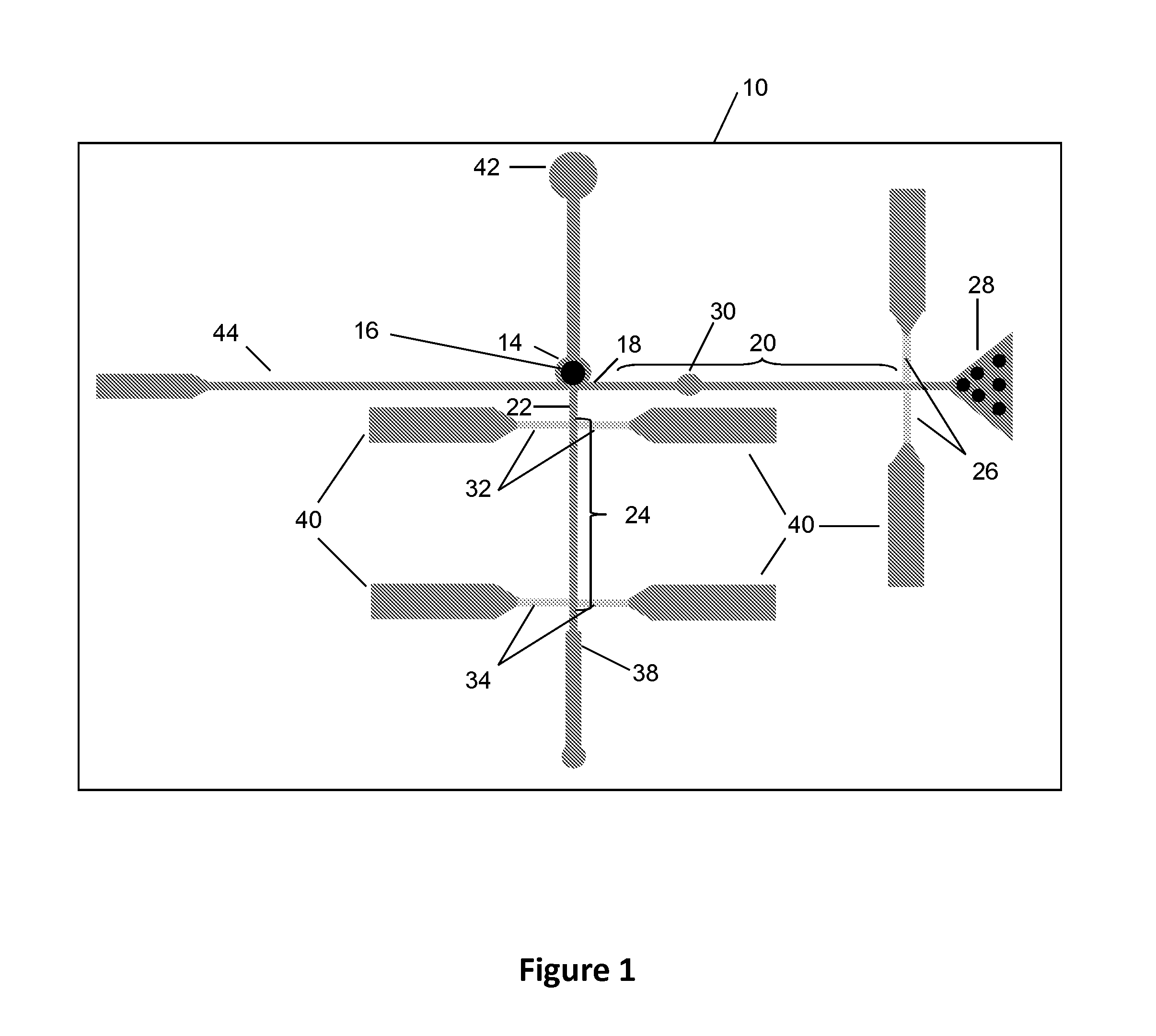 Biomolecular processing platform and uses thereof