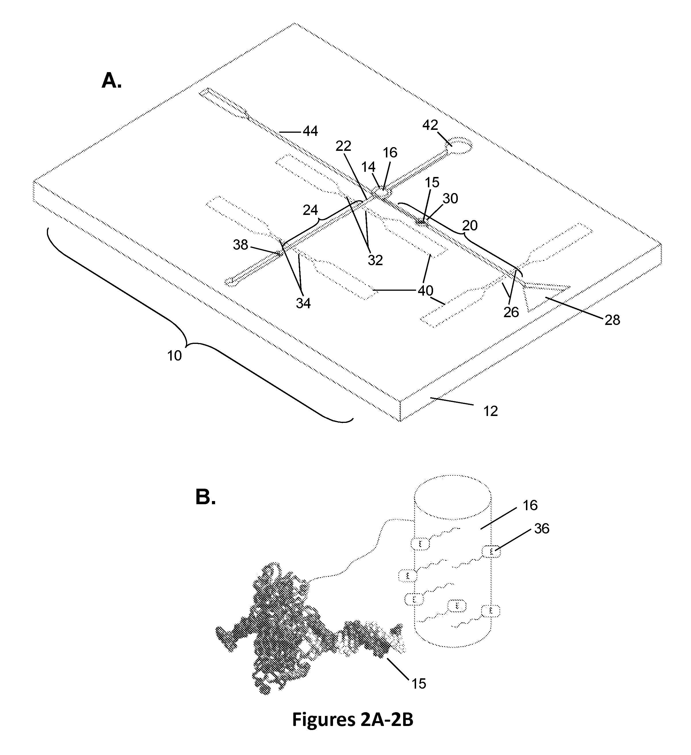 Biomolecular processing platform and uses thereof