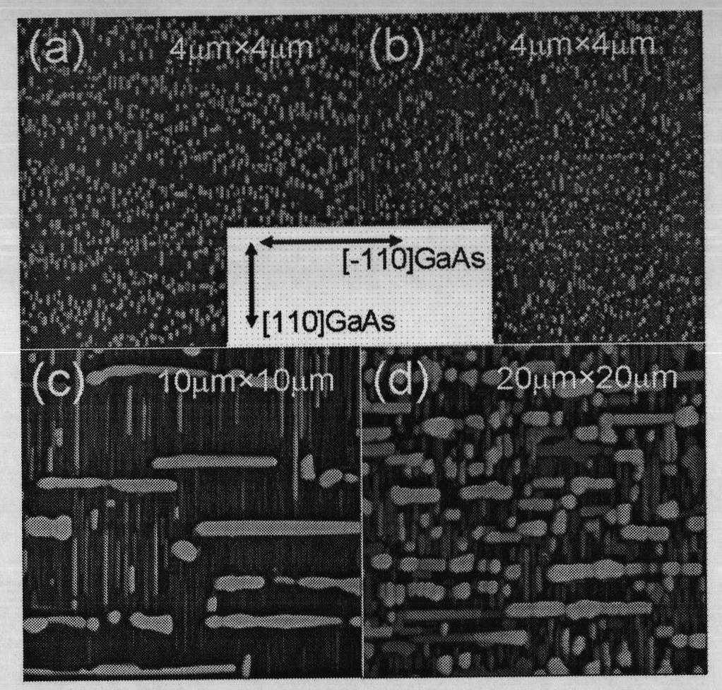 MnAs nanowires and preparation method thereof