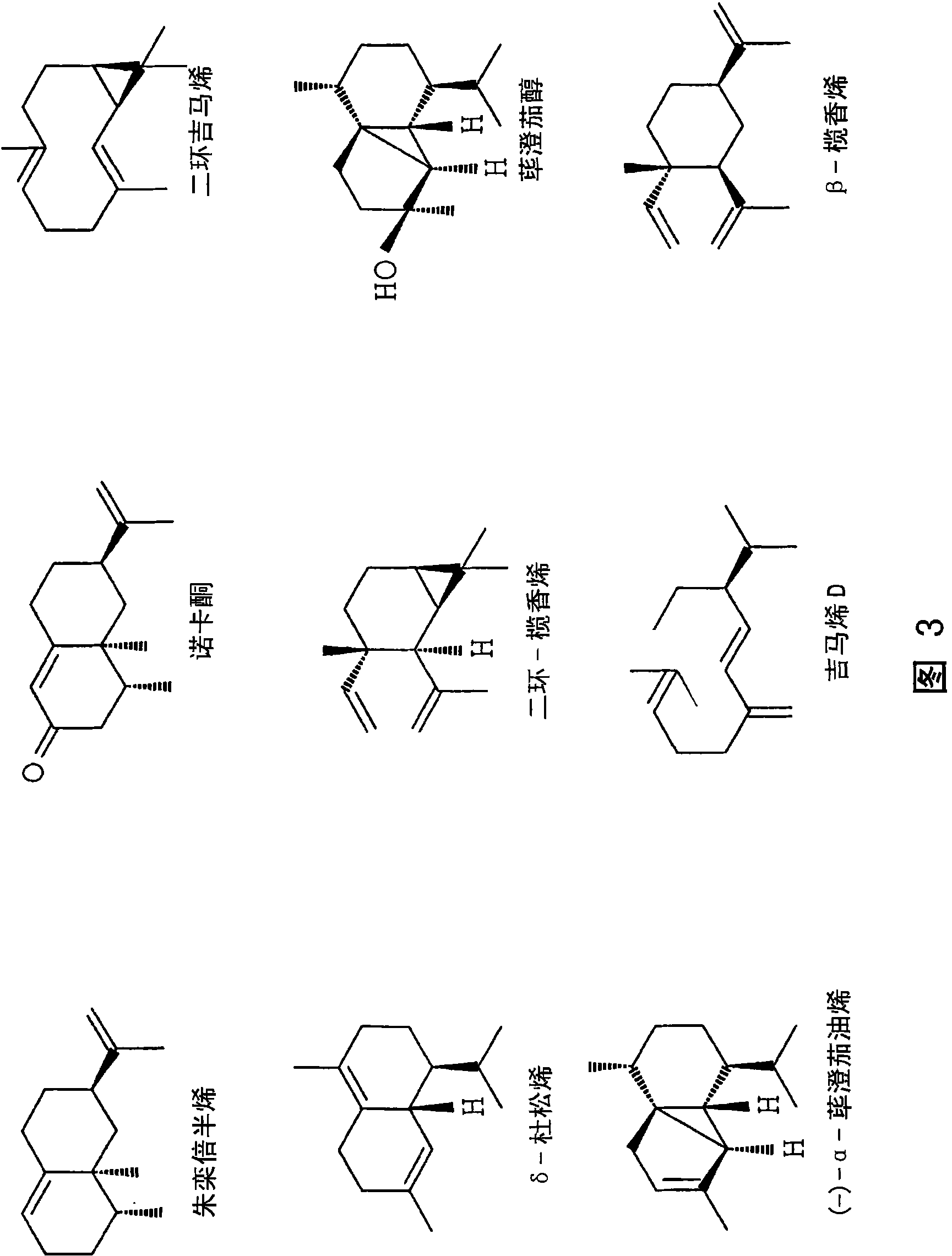 Sesquiterpene synthases and methods of use