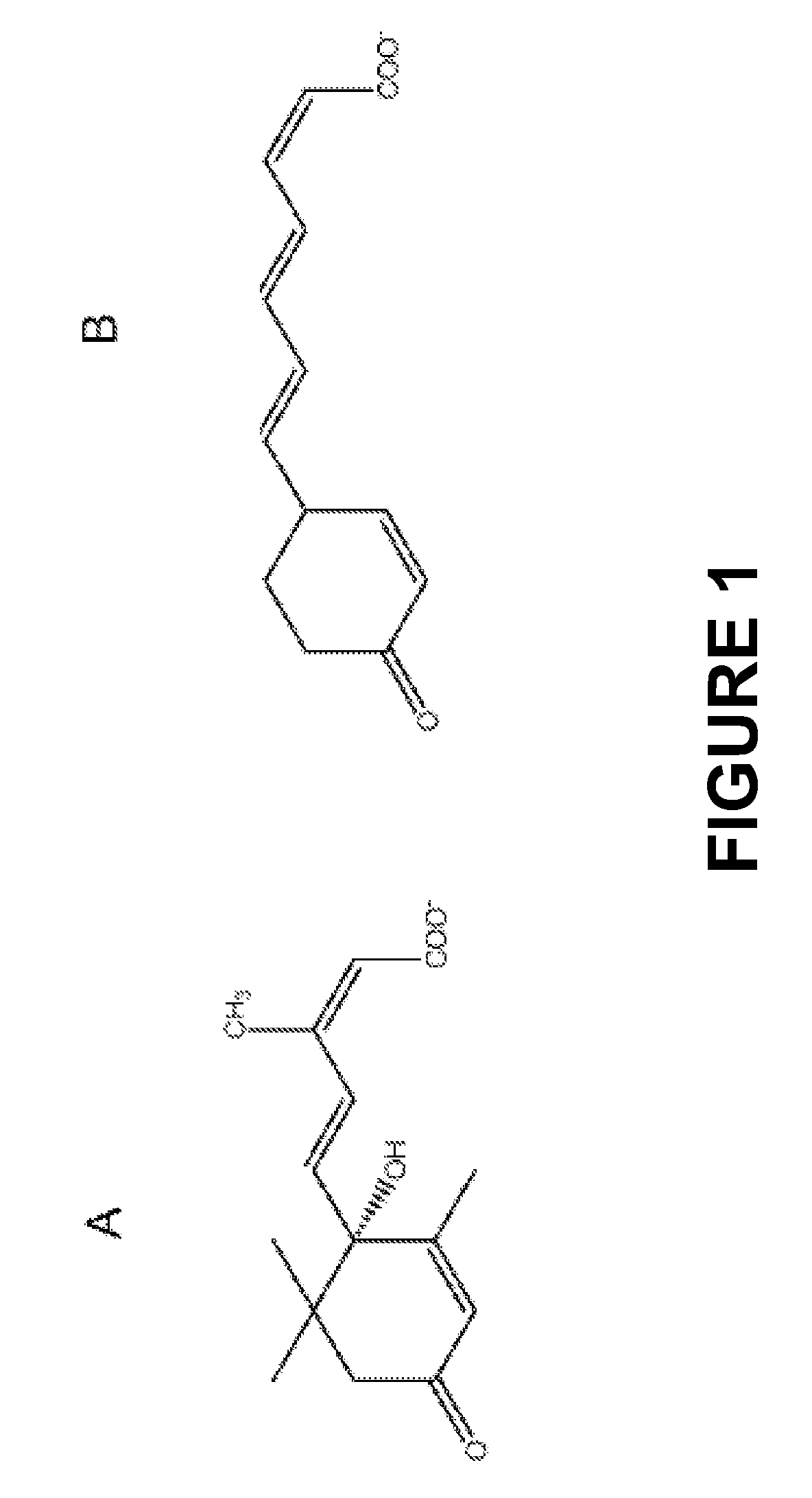 Methods of using abscisic acid for ameliorating hypertension and vascular inflammation