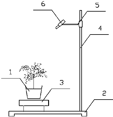 Plant growth observation platform