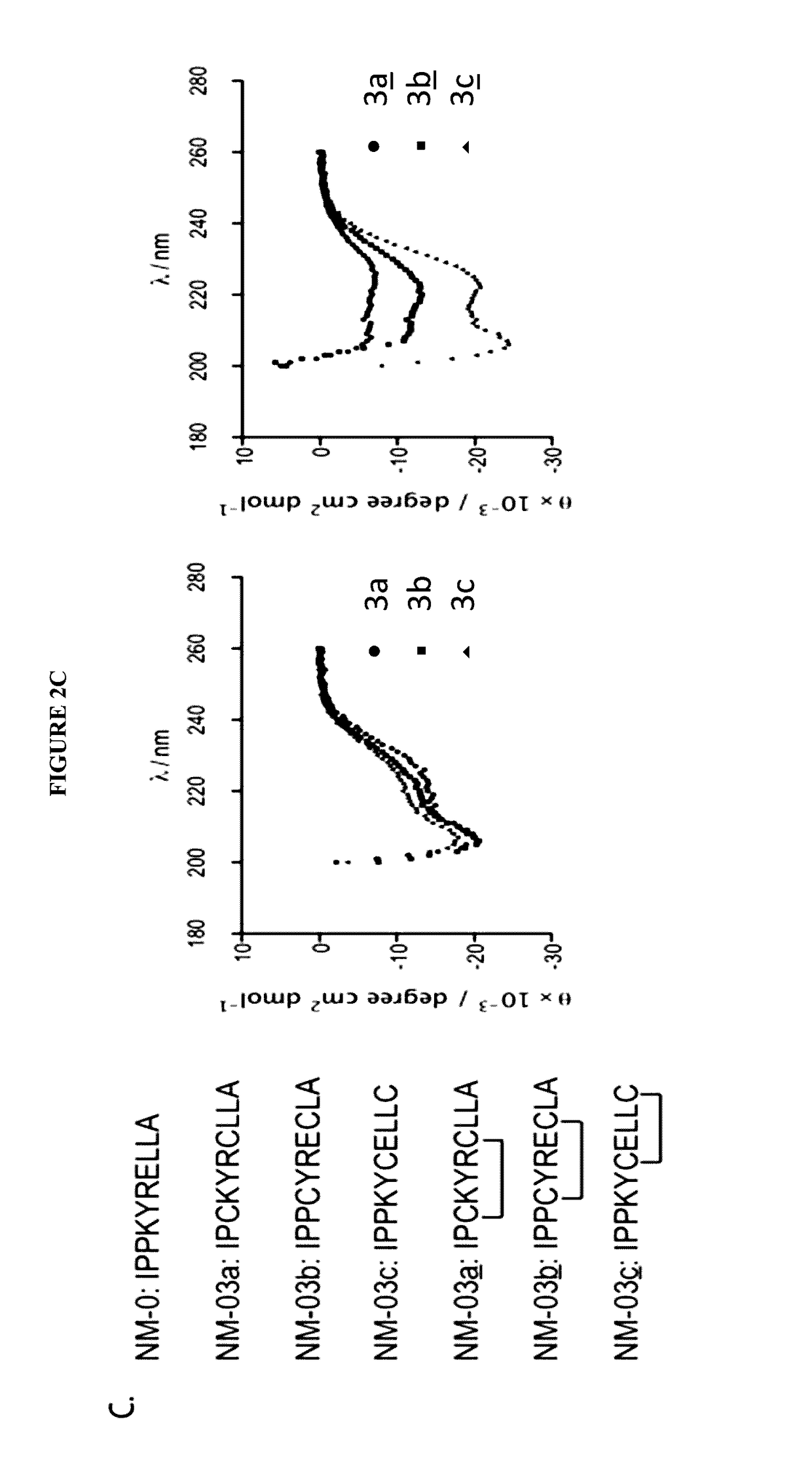 Alpha-helical peptidomimetic inhibitors and methods using same