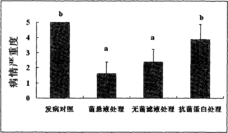 A kind of Paenibacillus macerans for preventing and treating plant bacterial wilt and its application