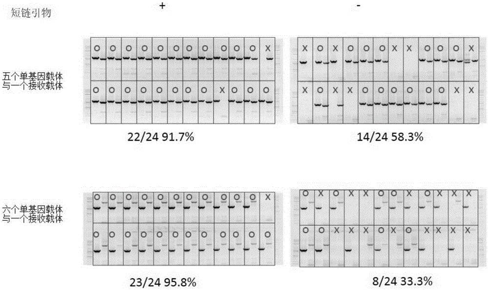 Method for improving DNA cloning and assembling efficacies by utilizing short-chain primer repression