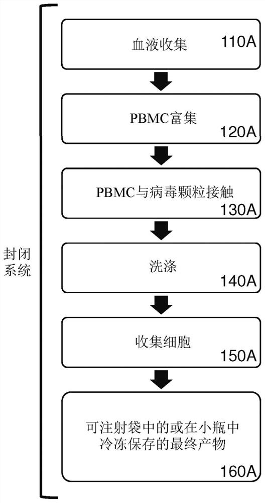 Methods and compositions for genetically modifying lymphocytes in blood or in enriched pbmcs