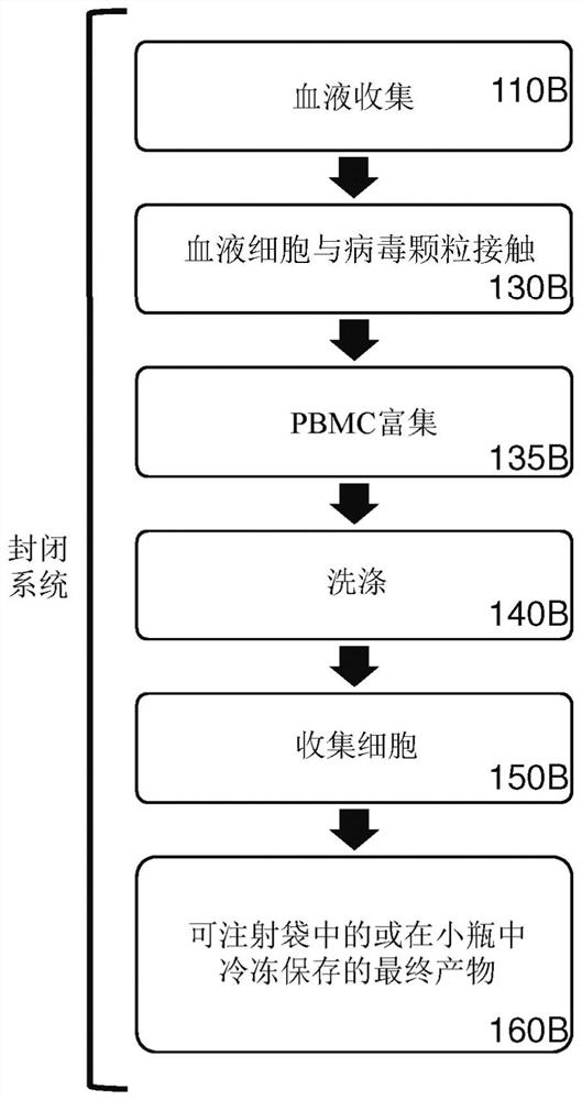 Methods and compositions for genetically modifying lymphocytes in blood or in enriched pbmcs