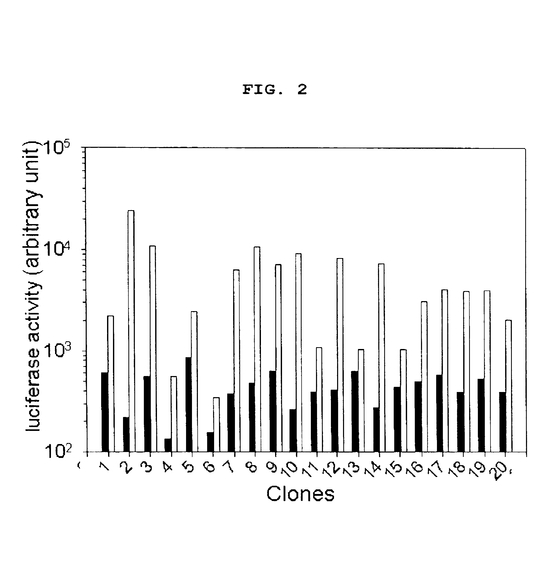 Method for mass-production of target protein by regulating the expression of chaperone protein