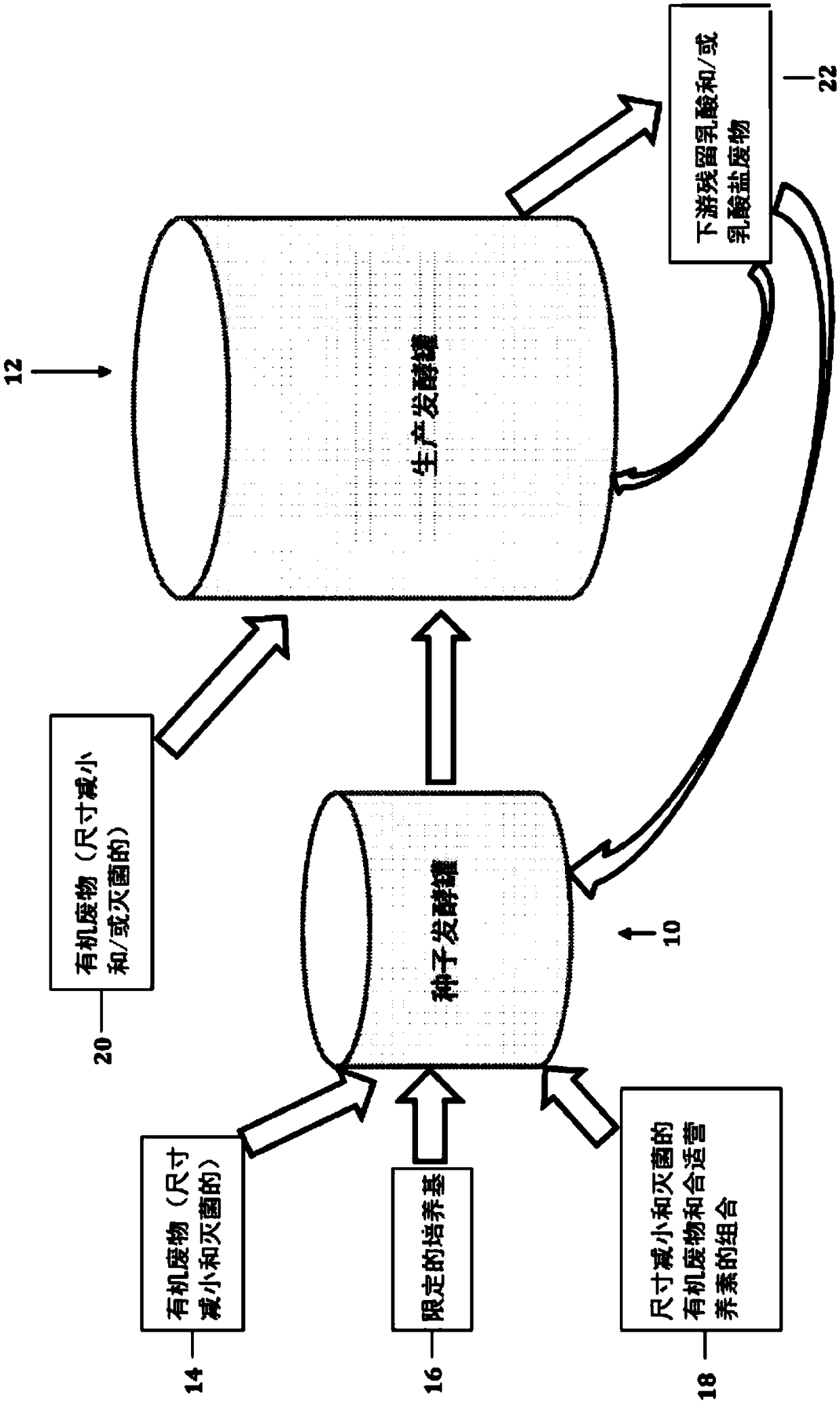 Lactic acid-utilizing bacteria genetically modified to secrete polysaccharide-degrading enzymes