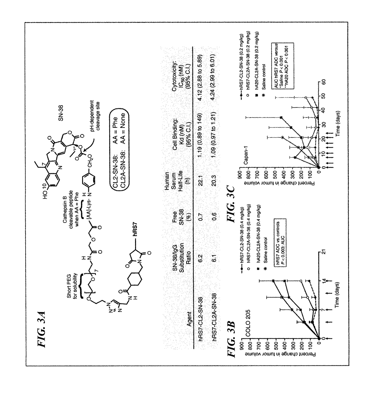 Therapy of small-cell lung cancer (SCLC) with a topoisomerase-i inhibiting antibody-drug conjugate (ADC) targeting trop-2