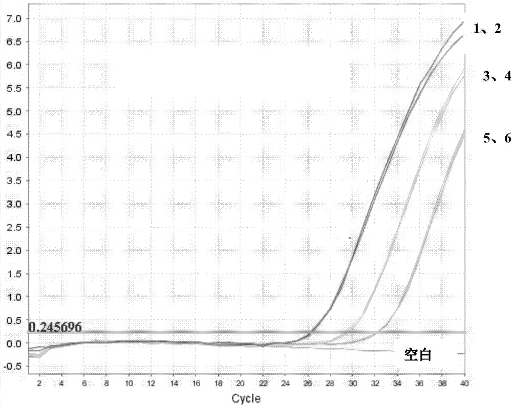 Primer and kit for real-time fluorescence PCR (polymerase chain reaction) detection of APRIL (a proliferation inducing ligand) gene