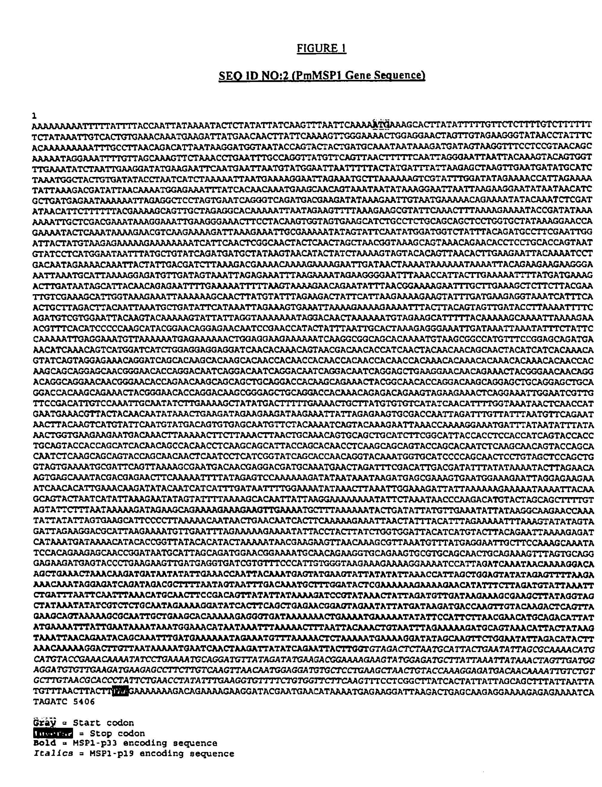 Plasmodium malariae and plasmodium ovale genes and uses thereof