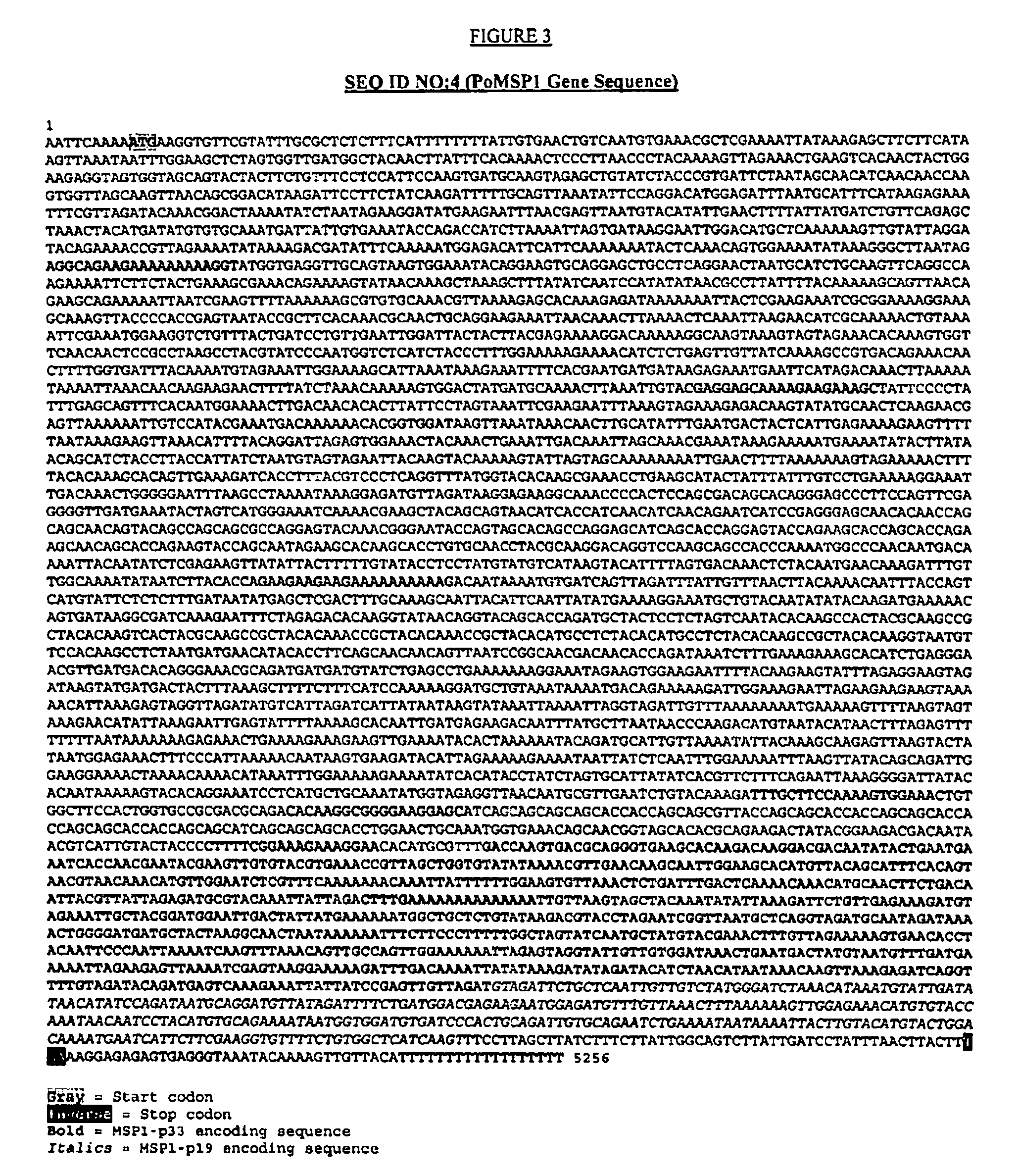 Plasmodium malariae and plasmodium ovale genes and uses thereof